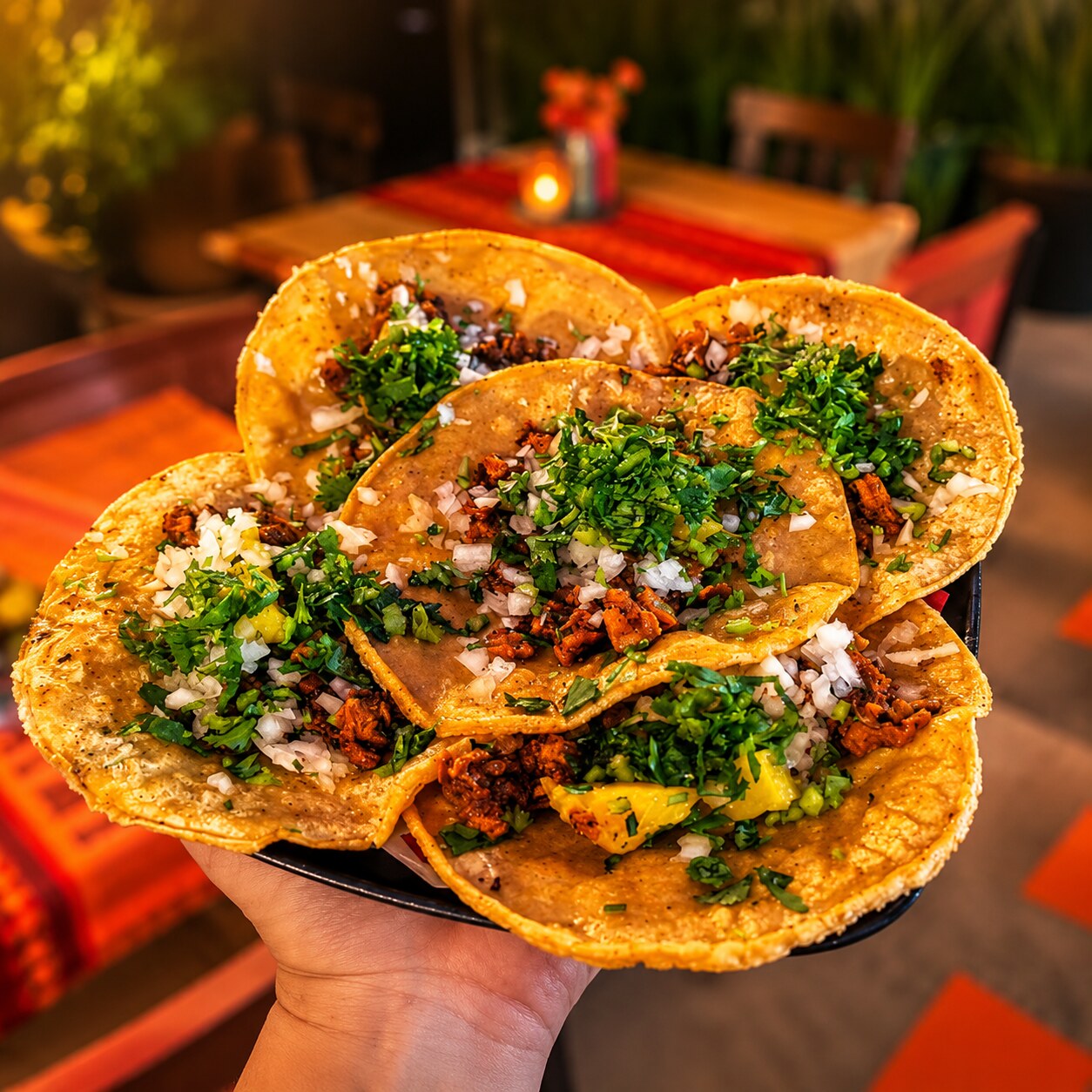 Tacos mexicanos servidos en Botanazo